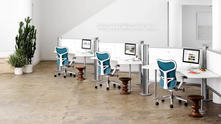 Ayse Birsel về thiết kế